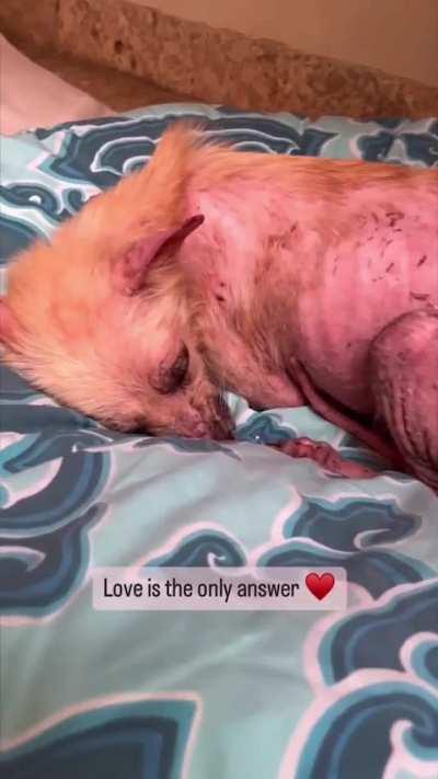 Love heals everything!