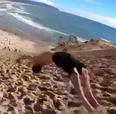 You’ll never see a woman willingly turn into a blender blade like this