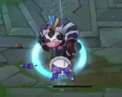 Parem de jogar lol, o lol maltrata gatos