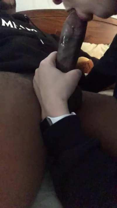 I want to show that BBCs are well taken care of in France too !