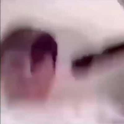 Even r/shitposting thinks this is fucked up