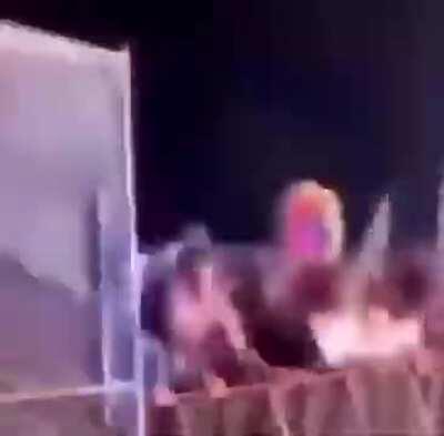 Plants vs zombies rave concert