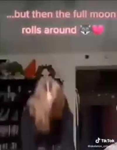 dog with down syndrome be like