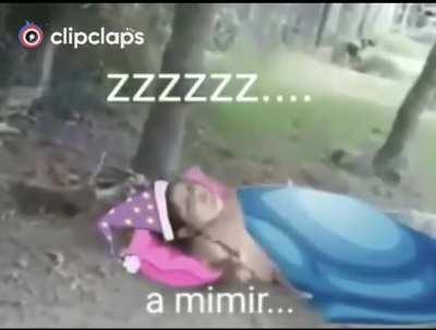 Boa noite ademir