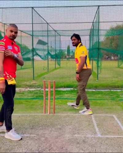 IPL in parallel universe