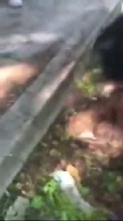 “Nicole, Make Them Titties Come Out!🗣🗣”