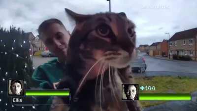 Hey look at this here