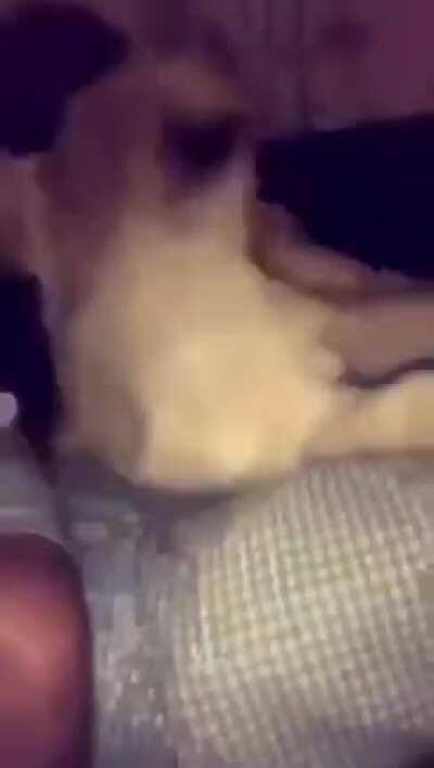 Se le ve bien valiente al pana