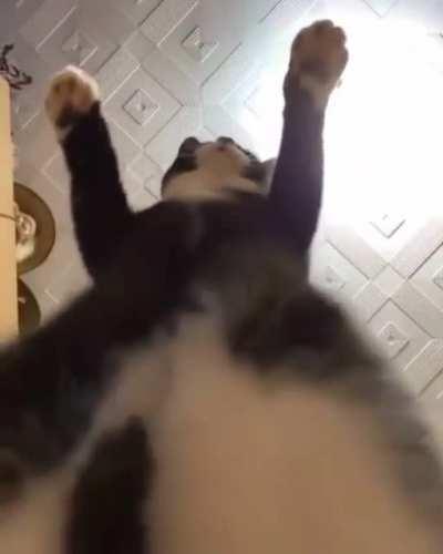 Своя атмосфера