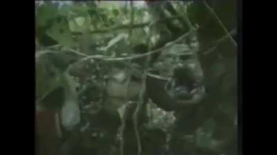 Last publicly known snippet of a French ECPAD documentary showing Karen rebels fighting against the SPDC junta in Burma (Myanmar)-September 1988