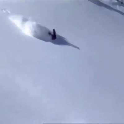 The way he just tumbles