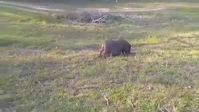 me after a few too many