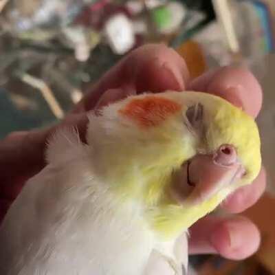 Tiel getting happy times with mom