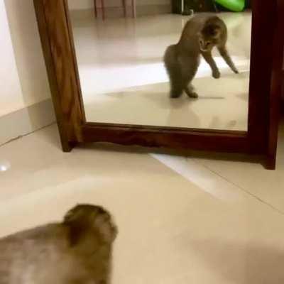 Where do I even begin?