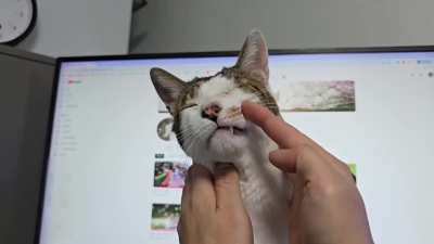 Vigorous stremtching