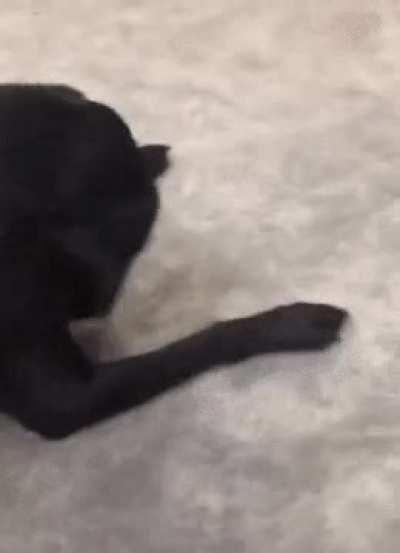 “Where’d my ball go?!”