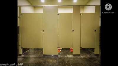 Whitty regrets eating that Taco Bell