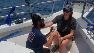 I proposed to my best friend, a few miles out in the Gulf of Mexico 😊