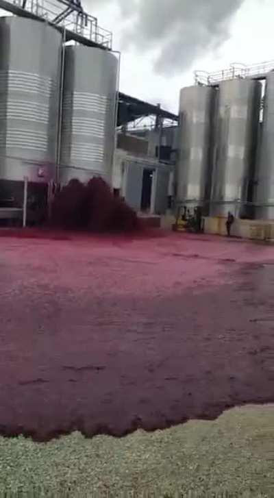 50,000 liters wine spill at Bodegas Vitivinos in Spain