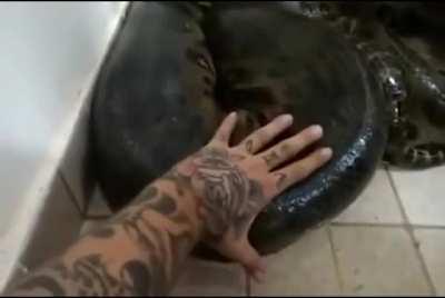 Snek killed the camera man