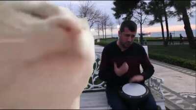 ALL DOGECOIN HODLERS WATCHING DOGE 🚀🚀🚀🚀🚀🚀🚀🚀🚀🚀🚀🚀🚀🚀🚀🚀🚀🚀🚀🚀🚀🚀