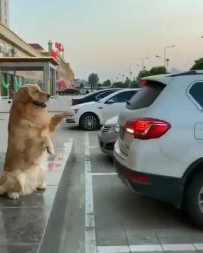 Who needs a parking sensor?