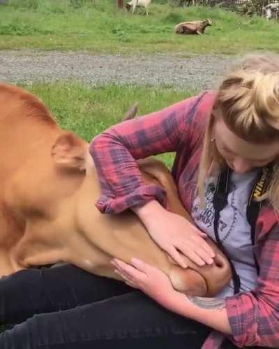 Like a giant dog - how could you eat that?