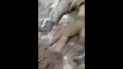 Ukraine War Compilation xiii