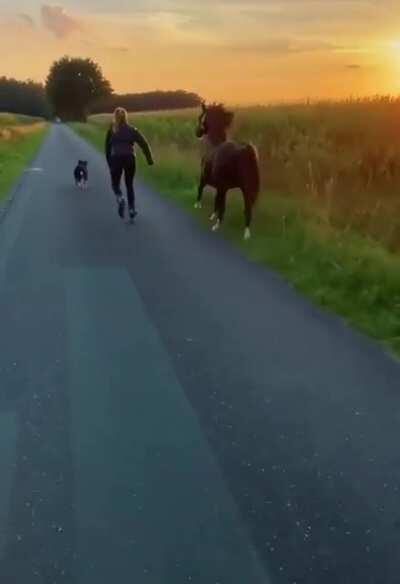 🔥 An evening stroll in the Netherlands with her best friends 🔥