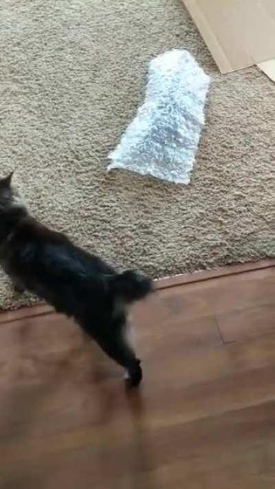 All that effort for nothing