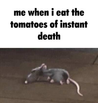 should have eaten something else i guess