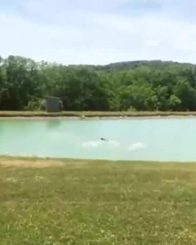 Fish people meet doggo