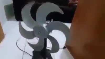 Explica vai quere vê