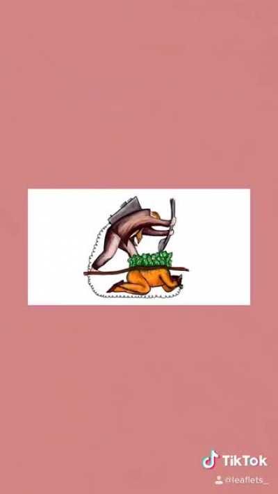 Liberals are not leftists.