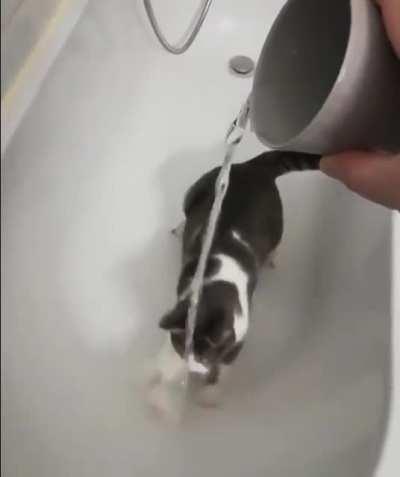 Catch the frigging water