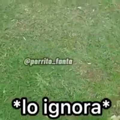*lo ignora epicamente*