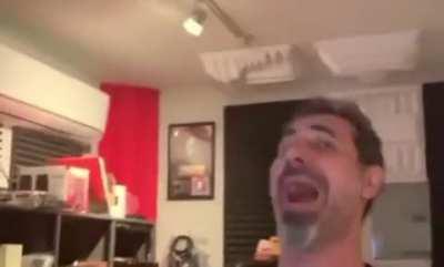 “System might play some new songs in 2020!” Serj: