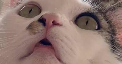 He saw a reflection moving on the wall