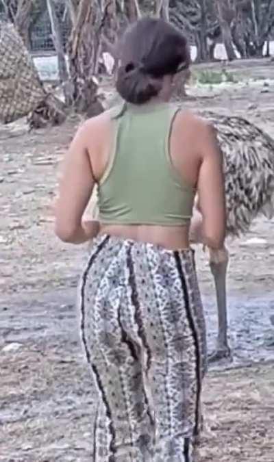 Recent clip of Mayas ass