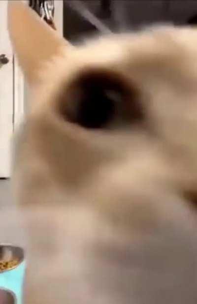 Luangameplay666 - Video #9576