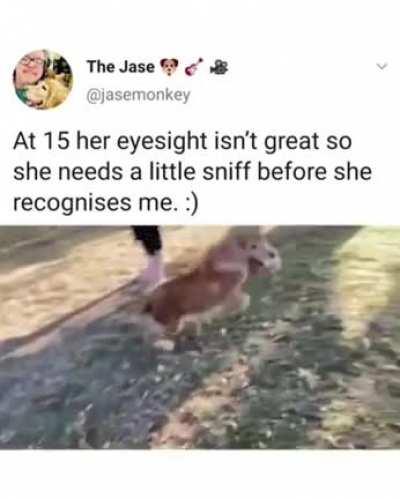 I’m not crying, you are