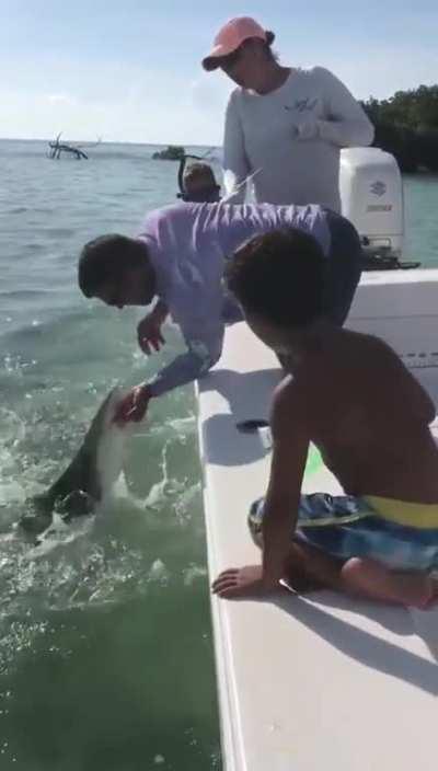 Trying to pick up small shark