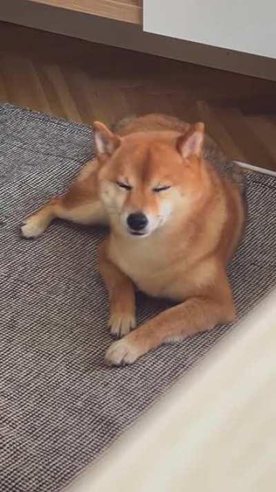 1 minute of Anko trying to fight sleep