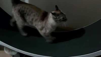 She Loves Encouragement