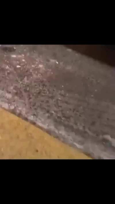 americano num dia medio