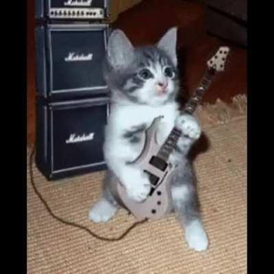 The wunk of suburbia 