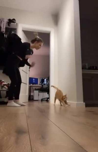 Let me show you an exercise