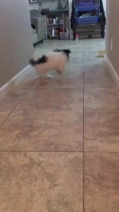 You&rsquo;ve been hit by... you&rsquo;ve been struck by... a smooth criminal