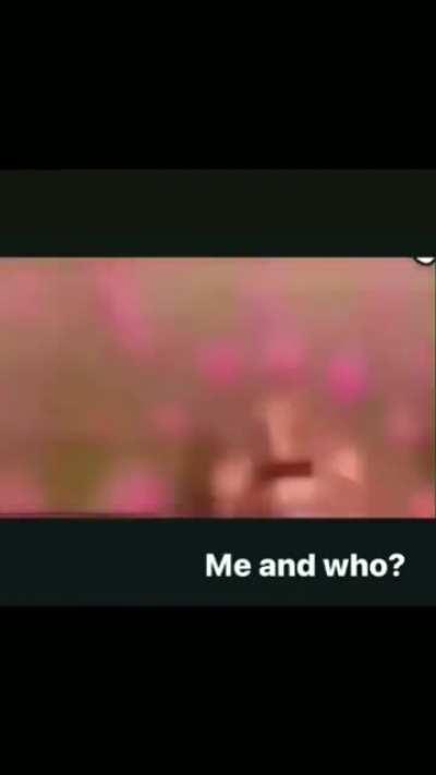 Kaha milti hain aese ladkiya🥺