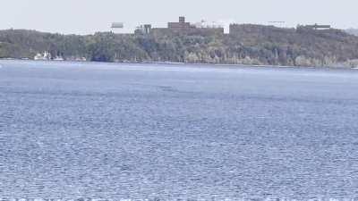 Lake Champlain Oddity